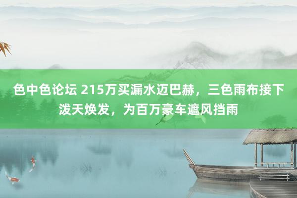 色中色论坛 215万买漏水迈巴赫，三色雨布接下泼天焕发，为百万豪车遮风挡雨
