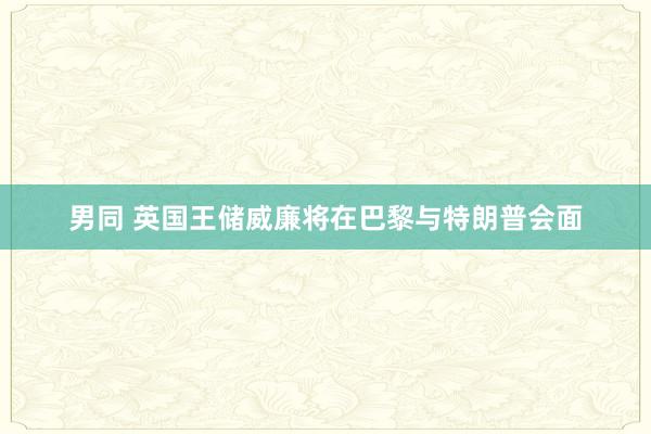 男同 英国王储威廉将在巴黎与特朗普会面