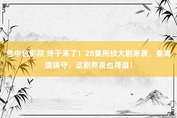 色中色影院 终于来了！28集刑侦大剧来袭，秦海璐镇守，这剧熬夜也得追！