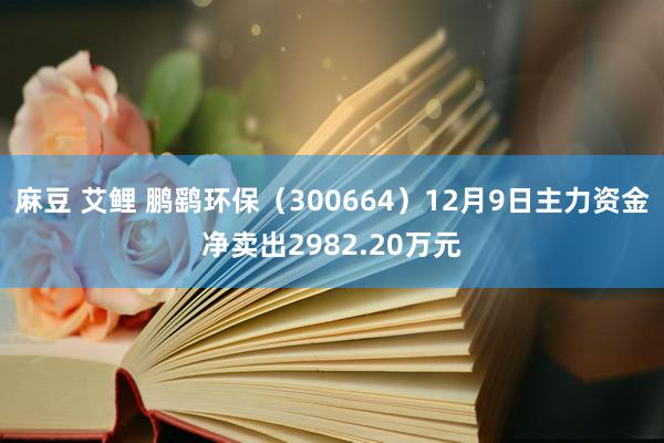 麻豆 艾鲤 鹏鹞环保（300664）12月9日主力资金净卖出2982.20万元