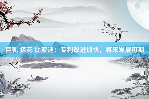 巨乳 探花 比亚迪：专利改进加快，将来发展可期