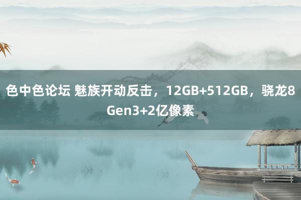 色中色论坛 魅族开动反击，12GB+512GB，骁龙8Gen3+2亿像素