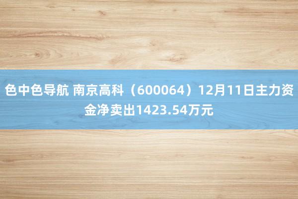 色中色导航 南京高科（600064）12月11日主力资金净卖出1423.54万元