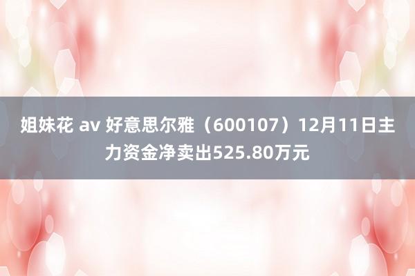 姐妹花 av 好意思尔雅（600107）12月11日主力资金净卖出525.80万元