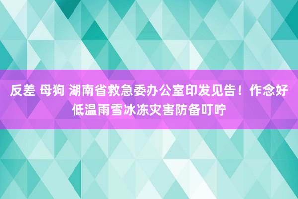反差 母狗 湖南省救急委办公室印发见告！作念好低温雨雪冰冻灾害防备叮咛