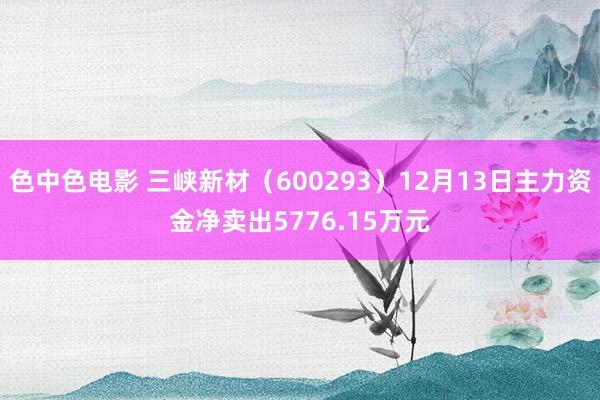 色中色电影 三峡新材（600293）12月13日主力资金净卖出5776.15万元