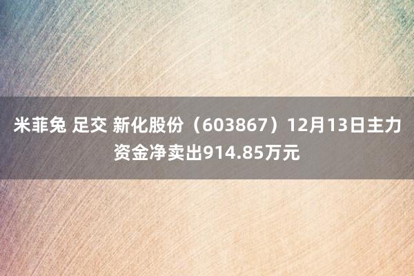 米菲兔 足交 新化股份（603867）12月13日主力资金净卖出914.85万元