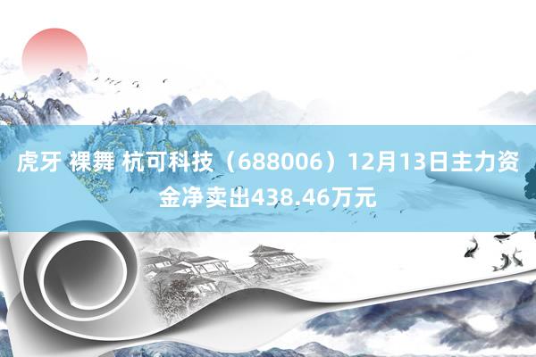 虎牙 裸舞 杭可科技（688006）12月13日主力资金净卖出438.46万元