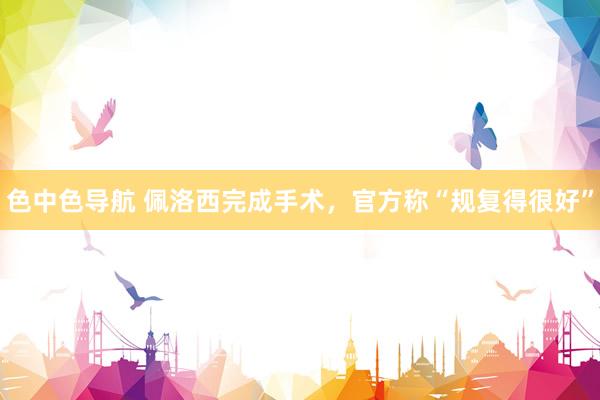 色中色导航 佩洛西完成手术，官方称“规复得很好”