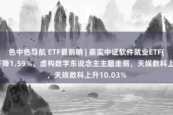 色中色导航 ETF最前哨 | 嘉实中证软件就业ETF(159852)下降1.59%，虚构数字东说念主主题走弱，天娱数科上升10.03%