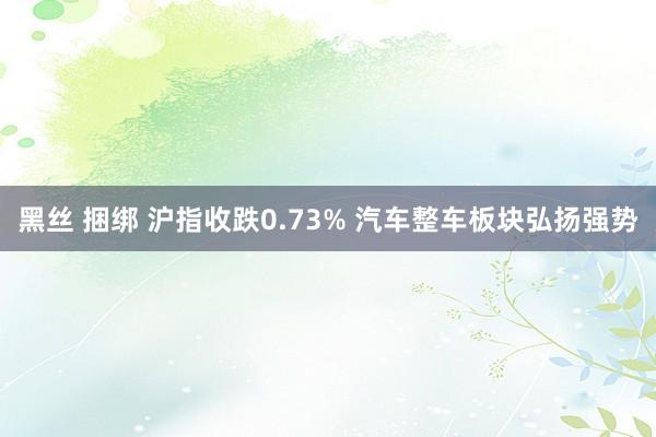 黑丝 捆绑 沪指收跌0.73% 汽车整车板块弘扬强势