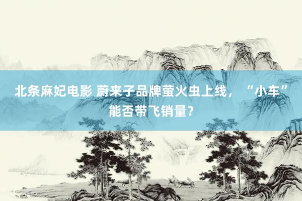 北条麻妃电影 蔚来子品牌萤火虫上线， “小车”能否带飞销量？