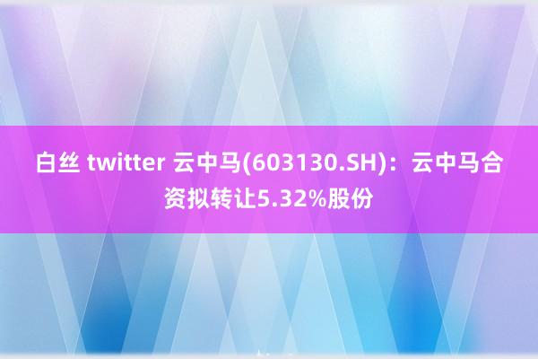 白丝 twitter 云中马(603130.SH)：云中马合资拟转让5.32%股份