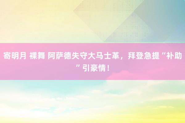 寄明月 裸舞 阿萨德失守大马士革，拜登急提“补助”引豪情！
