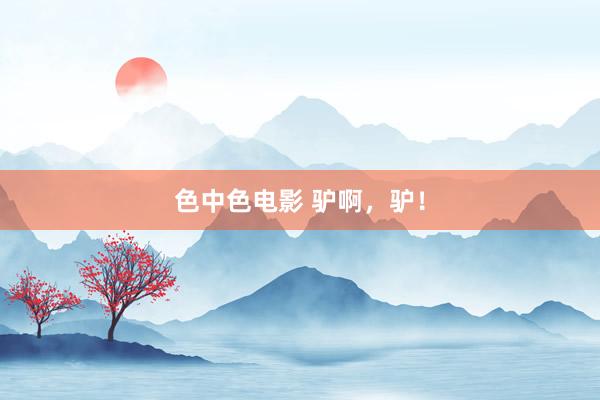 色中色电影 驴啊，驴！