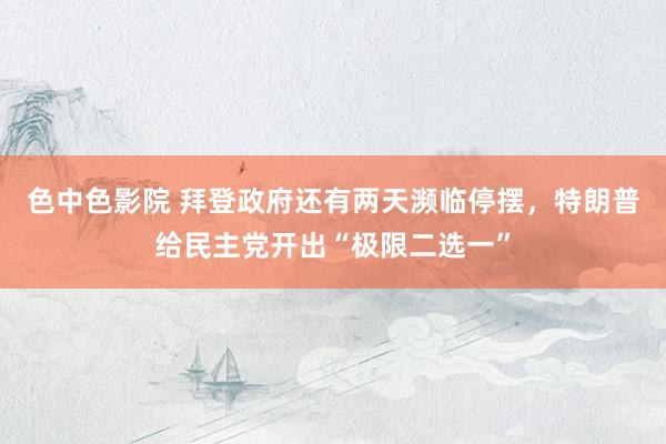 色中色影院 拜登政府还有两天濒临停摆，特朗普给民主党开出“极限二选一”