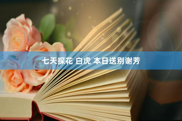 七天探花 白虎 本日送别谢芳