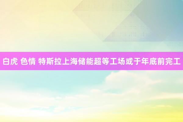 白虎 色情 特斯拉上海储能超等工场或于年底前完工