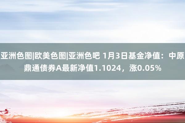 亚洲色图|欧美色图|亚洲色吧 1月3日基金净值：中原鼎通债券A最新净值1.1024，涨0.05%