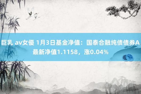 巨乳 av女優 1月3日基金净值：国泰合融纯债债券A最新净值1.1158，涨0.04%