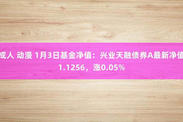 成人 动漫 1月3日基金净值：兴业天融债券A最新净值1.1256，涨0.05%