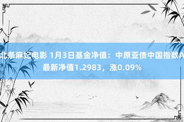 北条麻妃电影 1月3日基金净值：中原亚债中国指数A最新净值1.2983，涨0.09%