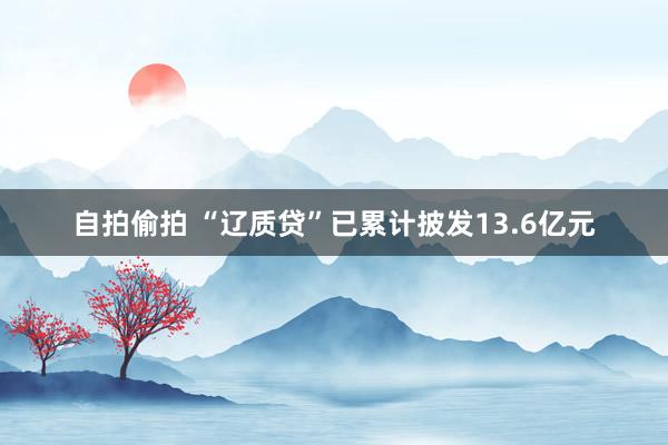 自拍偷拍 “辽质贷”已累计披发13.6亿元
