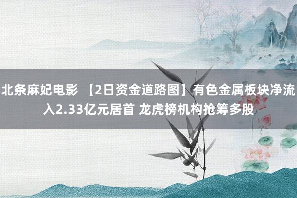 北条麻妃电影 【2日资金道路图】有色金属板块净流入2.33亿元居首 龙虎榜机构抢筹多股