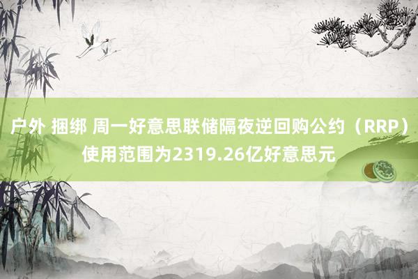 户外 捆绑 周一好意思联储隔夜逆回购公约（RRP）使用范围为2319.26亿好意思元