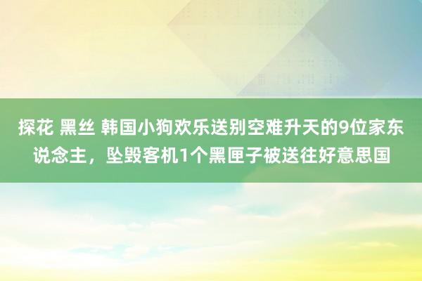 探花 黑丝 韩国小狗欢乐送别空难升天的9位家东说念主，坠毁客机1个黑匣子被送往好意思国