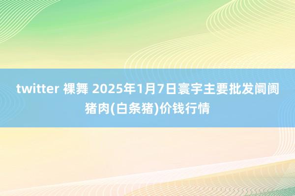 twitter 裸舞 2025年1月7日寰宇主要批发阛阓猪肉(白条猪)价钱行情