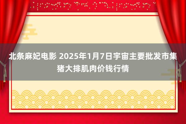 北条麻妃电影 2025年1月7日宇宙主要批发市集猪大排肌肉价钱行情