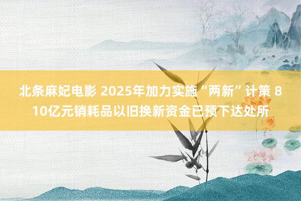 北条麻妃电影 2025年加力实施“两新”计策 810亿元销耗品以旧换新资金已预下达处所