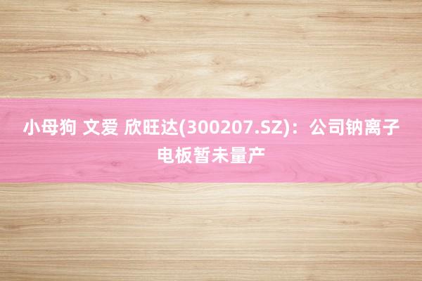 小母狗 文爱 欣旺达(300207.SZ)：公司钠离子电板暂未量产