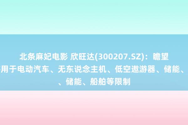 北条麻妃电影 欣旺达(300207.SZ)：瞻望固态电板将用于电动汽车、无东说念主机、低空遨游器、储能、船舶等限制