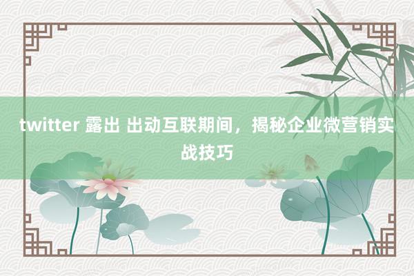 twitter 露出 出动互联期间，揭秘企业微营销实战技巧