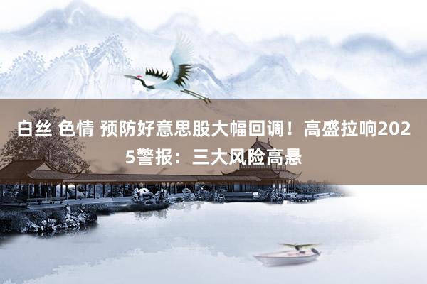 白丝 色情 预防好意思股大幅回调！高盛拉响2025警报：三大风险高悬