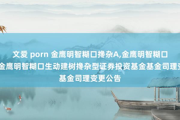 文爱 porn 金鹰明智糊口搀杂A,金鹰明智糊口搀杂C: 金鹰明智糊口生动建树搀杂型证券投资基金基金司理变更公告