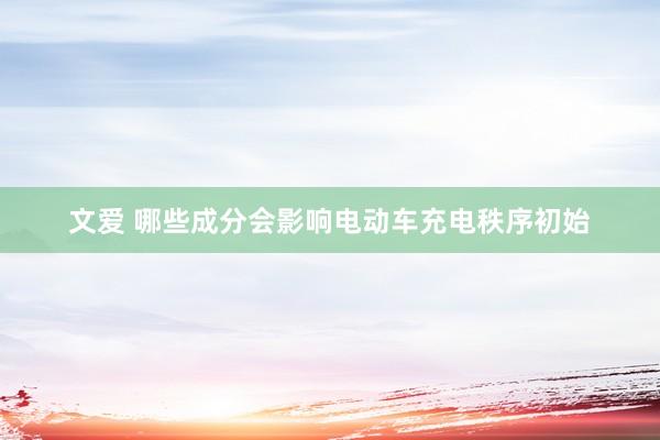 文爱 哪些成分会影响电动车充电秩序初始