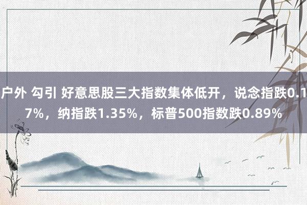 户外 勾引 好意思股三大指数集体低开，说念指跌0.17%，纳指跌1.35%，标普500指数跌0.89%