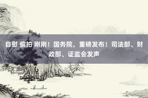 自慰 偷拍 刚刚！国务院，重磅发布！司法部、财政部、证监会发声