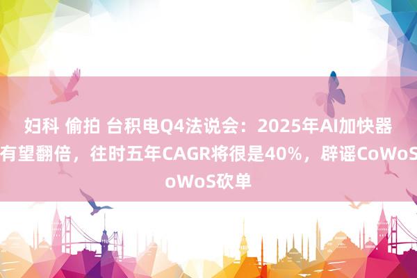 妇科 偷拍 台积电Q4法说会：2025年AI加快器营收有望翻倍，往时五年CAGR将很是40%，辟谣CoWoS砍单