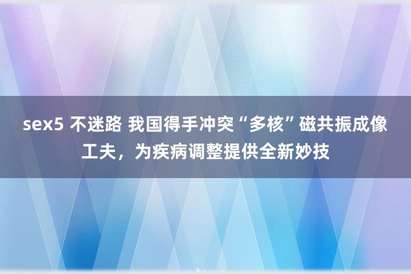 sex5 不迷路 我国得手冲突“多核”磁共振成像工夫，为疾病调整提供全新妙技