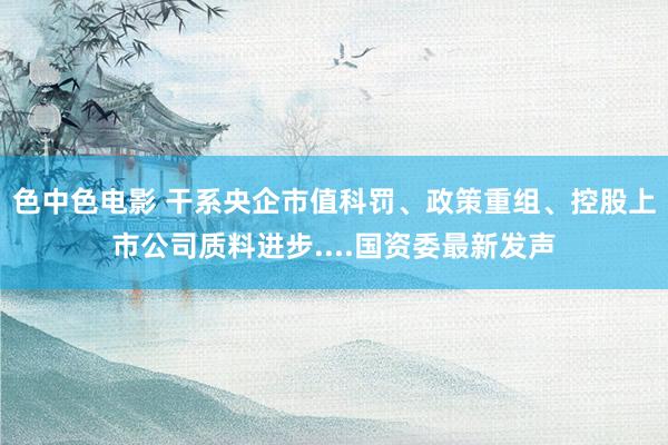 色中色电影 干系央企市值科罚、政策重组、控股上市公司质料进步....国资委最新发声