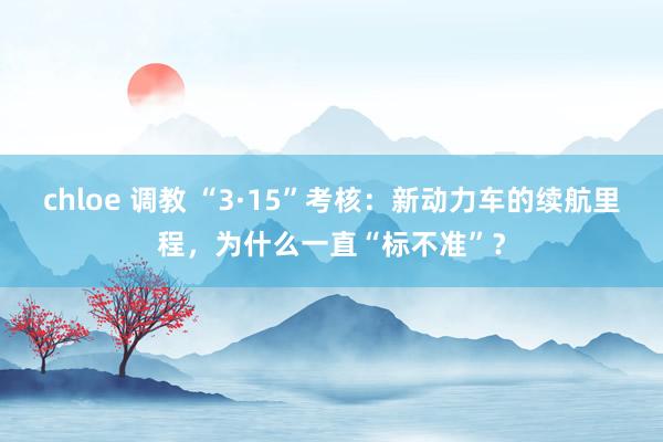 chloe 调教 “3·15”考核：新动力车的续航里程，为什么一直“标不准”？
