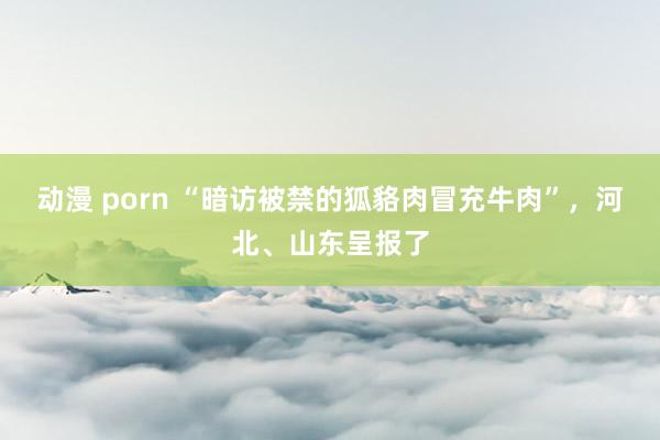 动漫 porn “暗访被禁的狐貉肉冒充牛肉”，河北、山东呈报了