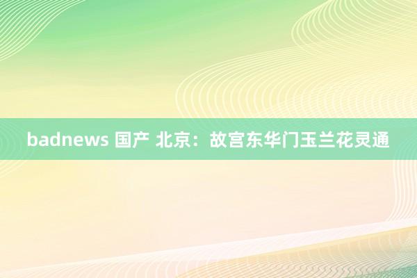 badnews 国产 北京：故宫东华门玉兰花灵通