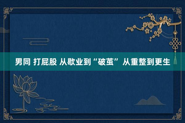 男同 打屁股 从歇业到“破茧” 从重整到更生