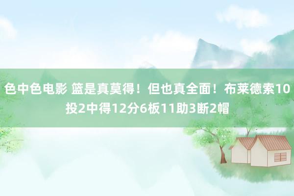 色中色电影 篮是真莫得！但也真全面！布莱德索10投2中得12分6板11助3断2帽