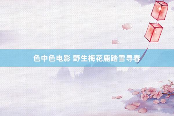 色中色电影 野生梅花鹿踏雪寻春